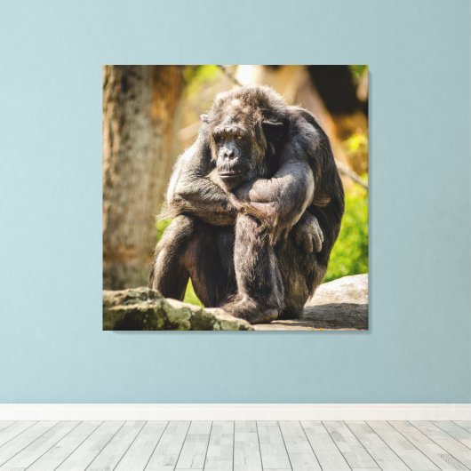 Gorilla Leinwanddruck (Insitu (Holzboden))