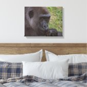 Gorilla Leinwanddruck (Insitu (Schlafzimmer))