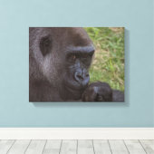 Gorilla Leinwanddruck (Insitu (Holzboden))