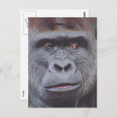 Gorilla-Look Postkarte (Vorne/Hinten)