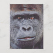 Gorilla-Look Postkarte (Vorderseite)
