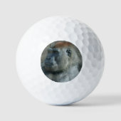 Gorilla Lope Golfball (Vorderseite)