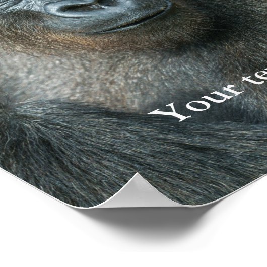 Gorilla Lope Poster (Ecke)