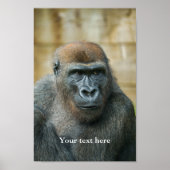 Gorilla Lope Poster (Vorne)