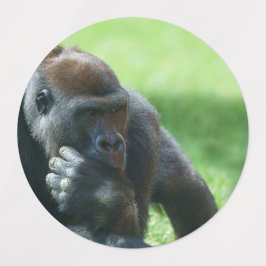 Gorilla Lope (Round Design) Etiketten (Design 1)