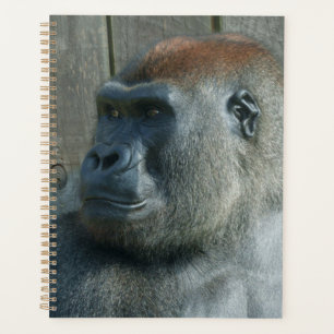 Gorilla Lope & Shufai Planer