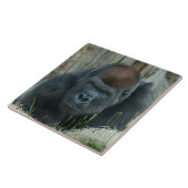 Gorilla Lope's Chill Time Fliese (Seite)