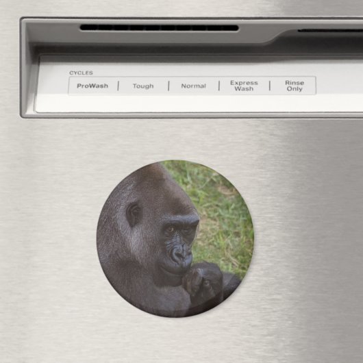 Gorilla Magnet (In Situ (Geschirrspüler))