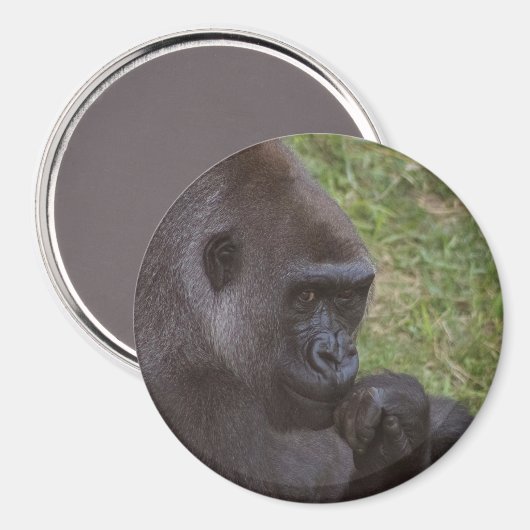 Gorilla Magnet (Vorderseite/Rückseite)