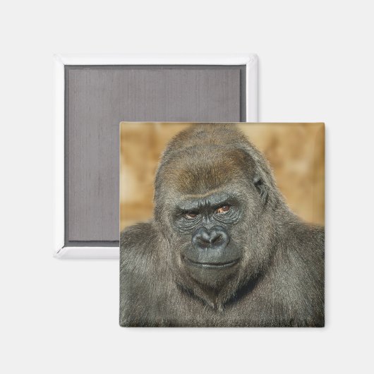 Gorilla Magnet (Vorderseite/Rückseite)