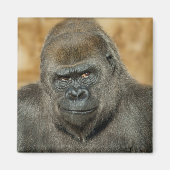 Gorilla Magnet (Vorne)