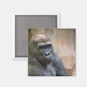 GORILLA MAGNET (Vorderseite/Rückseite)