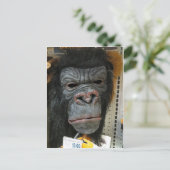 Gorilla Mask Postkarte (Stehend Vorderseite)