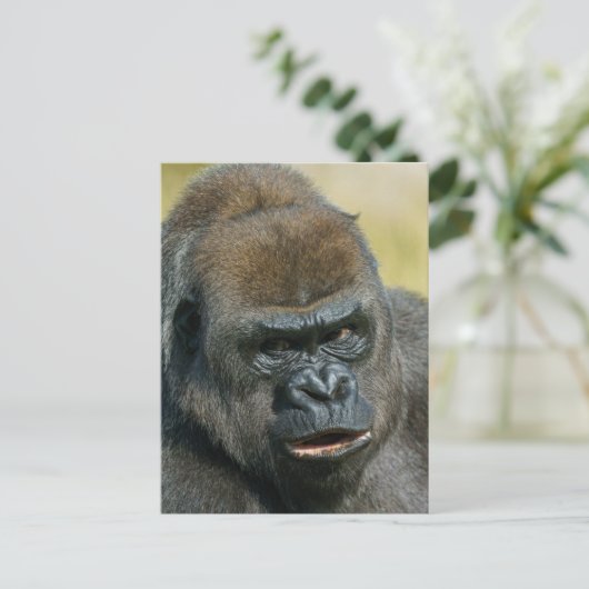 Gorilla Mother Postkarte (Stehend Vorderseite)