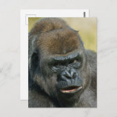 Gorilla Mother Postkarte (Vorne/Hinten)