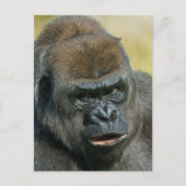 Gorilla Mother Postkarte (Vorderseite)