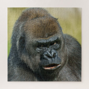 Gorilla Mother Puzzle