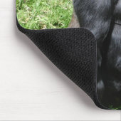 GORILLA MOUSEPAD (Ecke)