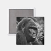 Gorilla Nah Schwarz-Weiß-Portrait Magnet (Vorderseite/Rückseite)