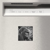 Gorilla Nah Schwarz-Weiß-Portrait Magnet (In Situ (Geschirrspüler))