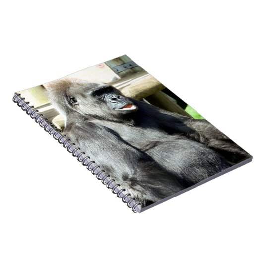 GORILLA NOTIZBLOCK (Rechte Seite)