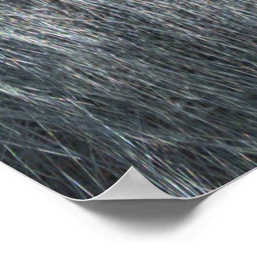 Gorilla Ozala Poster (Ecke)