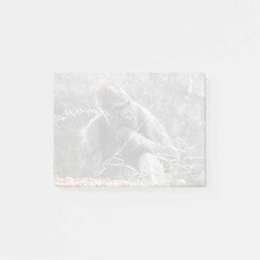 Gorilla Ozzie im Zoo Atlanta Post-it Klebezettel (Vorderseite)