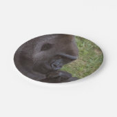 Gorilla Pappteller (Schrägansicht)