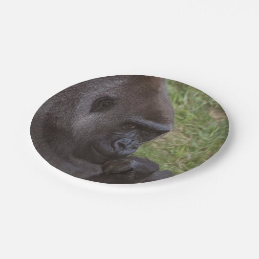 Gorilla Pappteller (Schrägansicht)