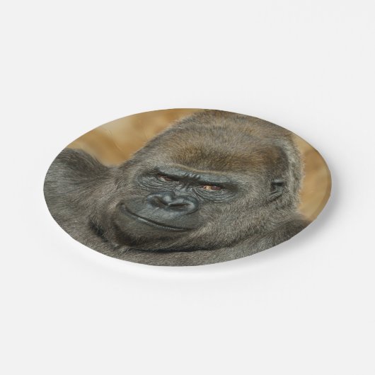 Gorilla Pappteller (Schrägansicht)