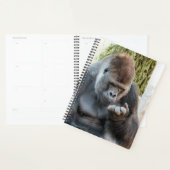 GORILLA PLANER (Anzeige)