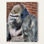 GORILLA PLANER (Rückseite)