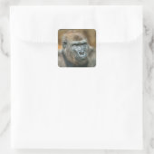 Gorilla Portrait Quadratischer Aufkleber (Tasche)