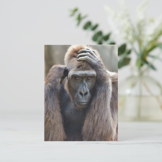 Gorilla-Pose Postkarte (Stehend Vorderseite)