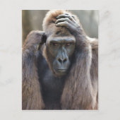 Gorilla-Pose Postkarte (Vorderseite)