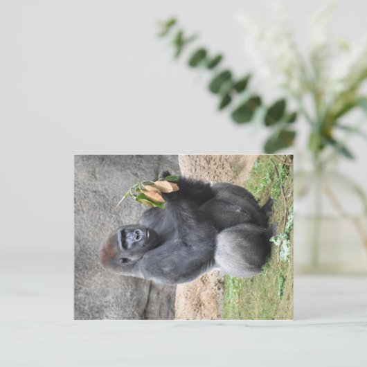 Gorilla Postcard Postkarte (Stehend Vorderseite)
