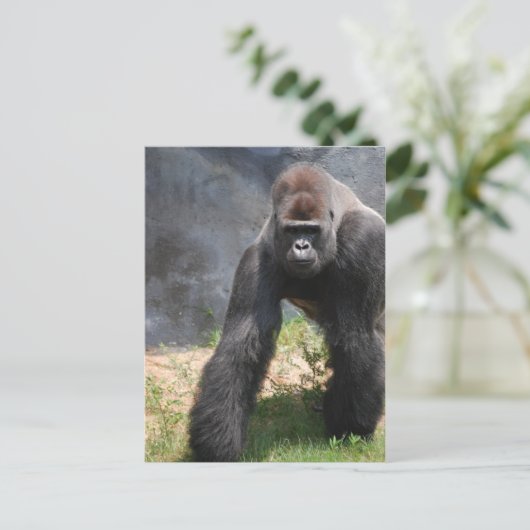 Gorilla Postcard Postkarte (Stehend Vorderseite)