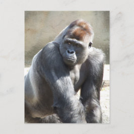 Gorilla Postcard Postkarte