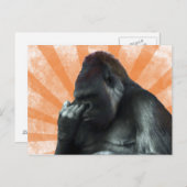 Gorilla Postcard Postkarte (Vorne/Hinten)