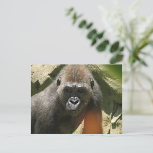 Gorilla Postcard Postkarte (Stehend Vorderseite)