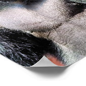 GORILLA POSTER (Ecke)