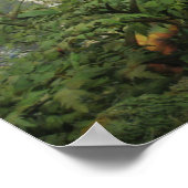 Gorilla Poster (Ecke)