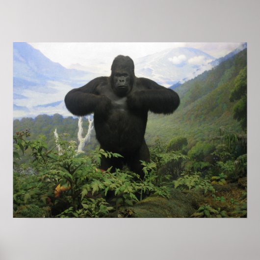 Gorilla Poster (Vorne)