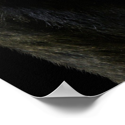 Gorilla Poster (Ecke)