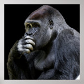 Gorilla Poster (Vorne)
