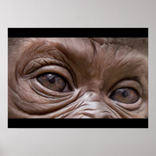 Gorilla Poster (Vorne)