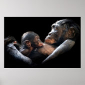 Gorilla Poster (Vorne)