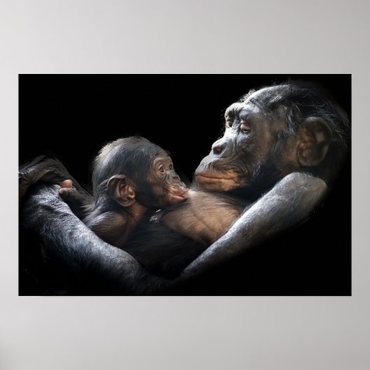 Gorilla Poster (Vorne)