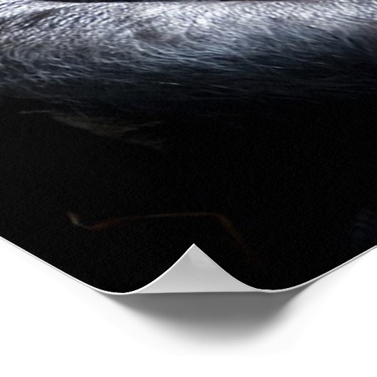 Gorilla Poster (Ecke)