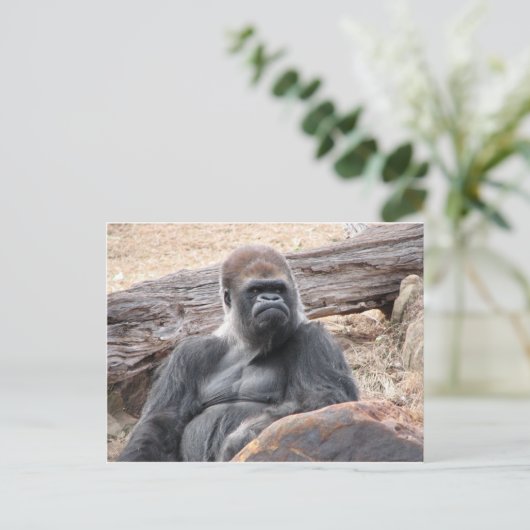 Gorilla Postkarte (Stehend Vorderseite)